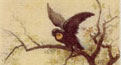 le corbeau de la fable de Jean de La Fontaine