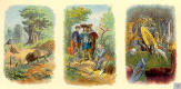 le lièvre et la tortue, le vieillard et les 3 jeunes hommes, le rat de ville et le rat des champs.