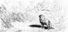 Le lion abattu par l'homme (Gustave Doré)