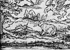 l'aigle et l'escarbot (Nevelet)