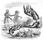 illustration : Grandville