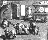 illustration François Chauveau