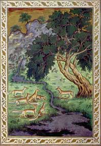 Le Renard ayant la queue coupée, miniature indienne