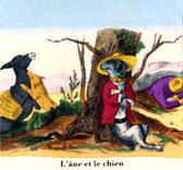 l'âne et le chien