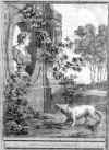 Le renard et le buste