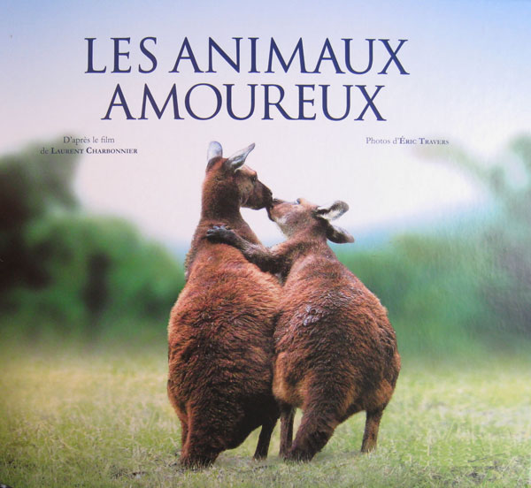 animaux amoureux