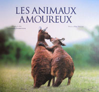 les animaux amoureux