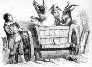 illustration J.J. Grandville 