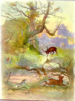 le cerf se voyant dans l'eau