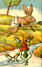le livre et les grenouilles