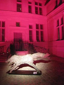le loup